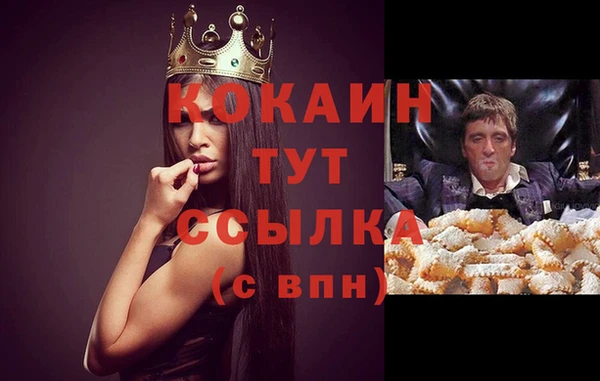 прущие крисы Аркадак