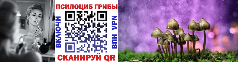 купить   Зеленоградск  гидра как войти  Псилоцибиновые грибы MAGIC MUSHROOMS 